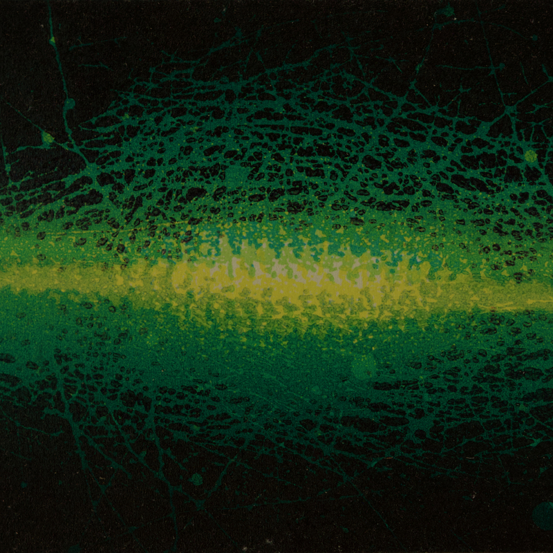 malgré tout - reduction linocut 2024