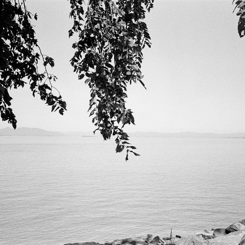 Olympus Trip 35
Ilford HP5 Plus 400 ISO