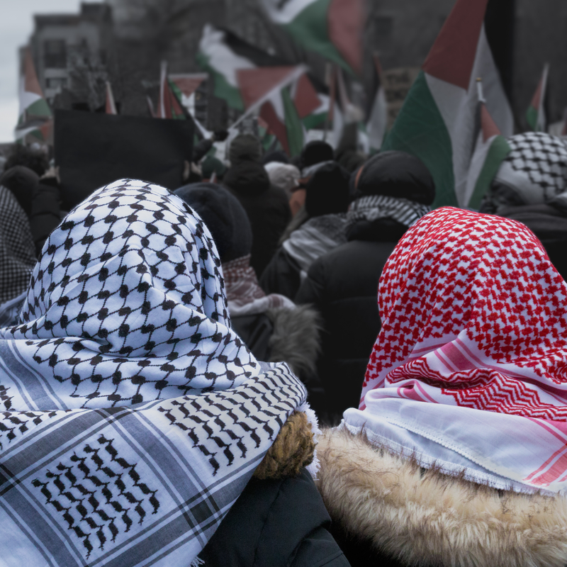 Canon EOS M50 Mark II
32mm ISO 1250 f/8 1/40s